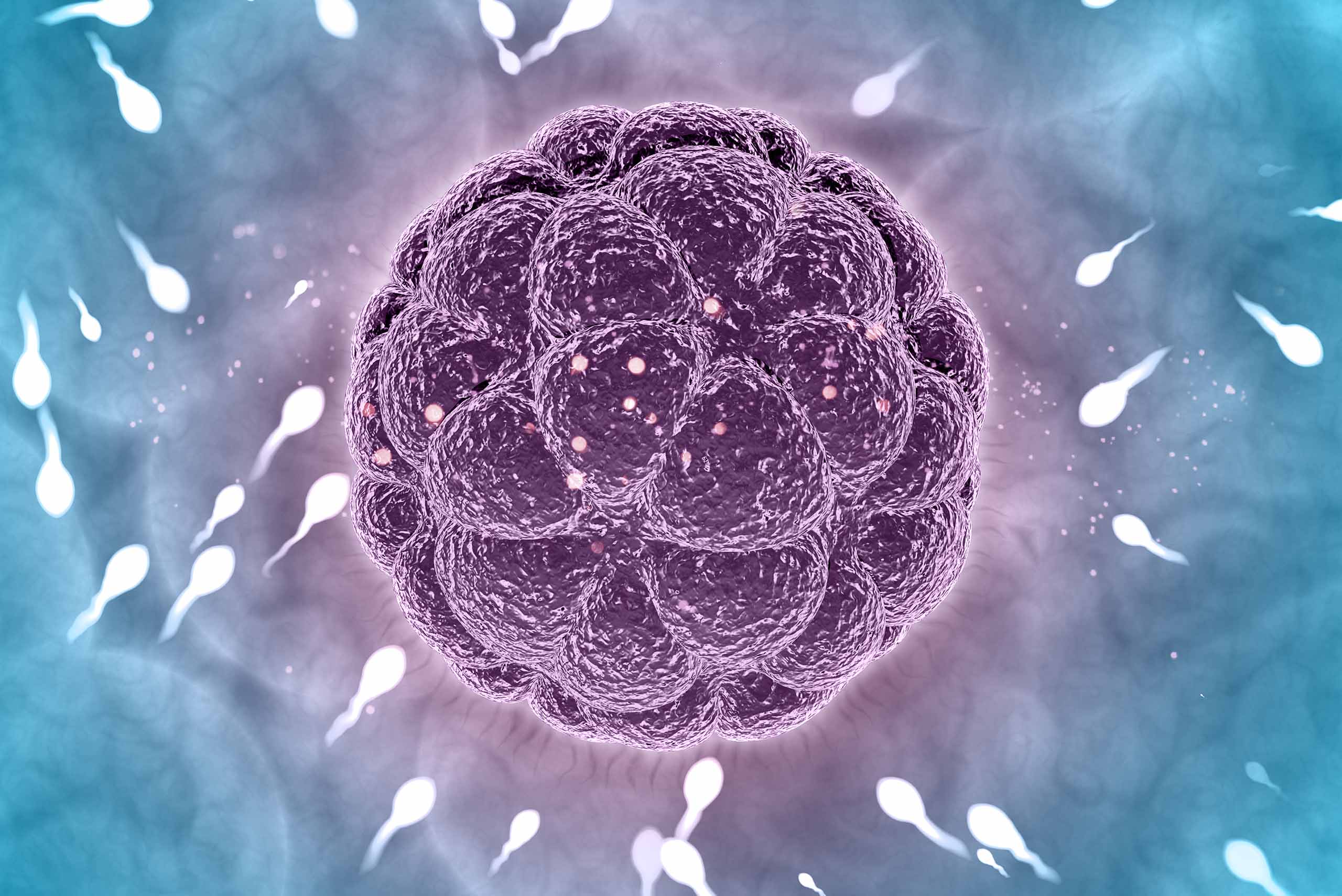 SEMEN PRESERVATION, CRYOPRESERVATION OF SPERM