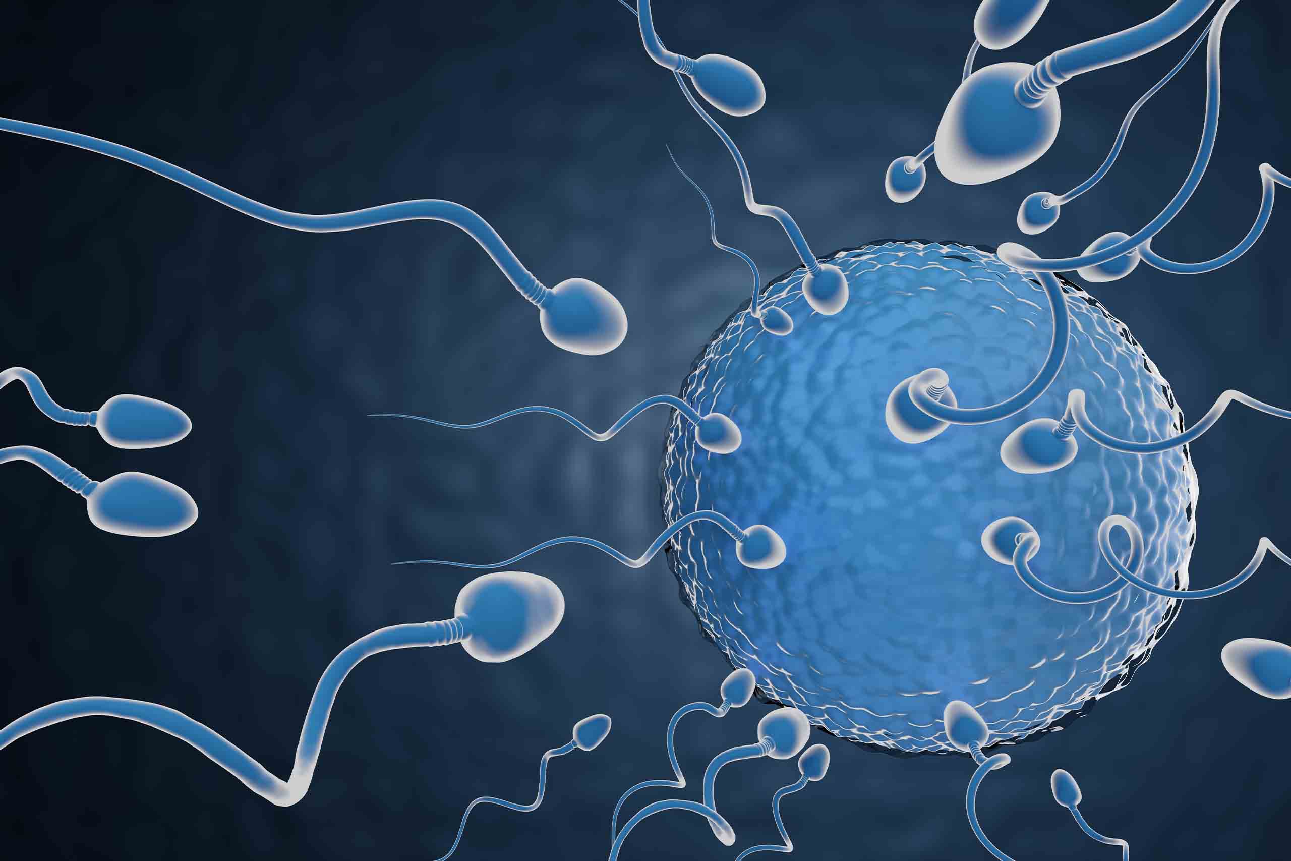 IVF ന്റെ വിജയ സാധ്യതയെ സ്വാധീനിക്കുന്ന ഘടകങ്ങൾ.