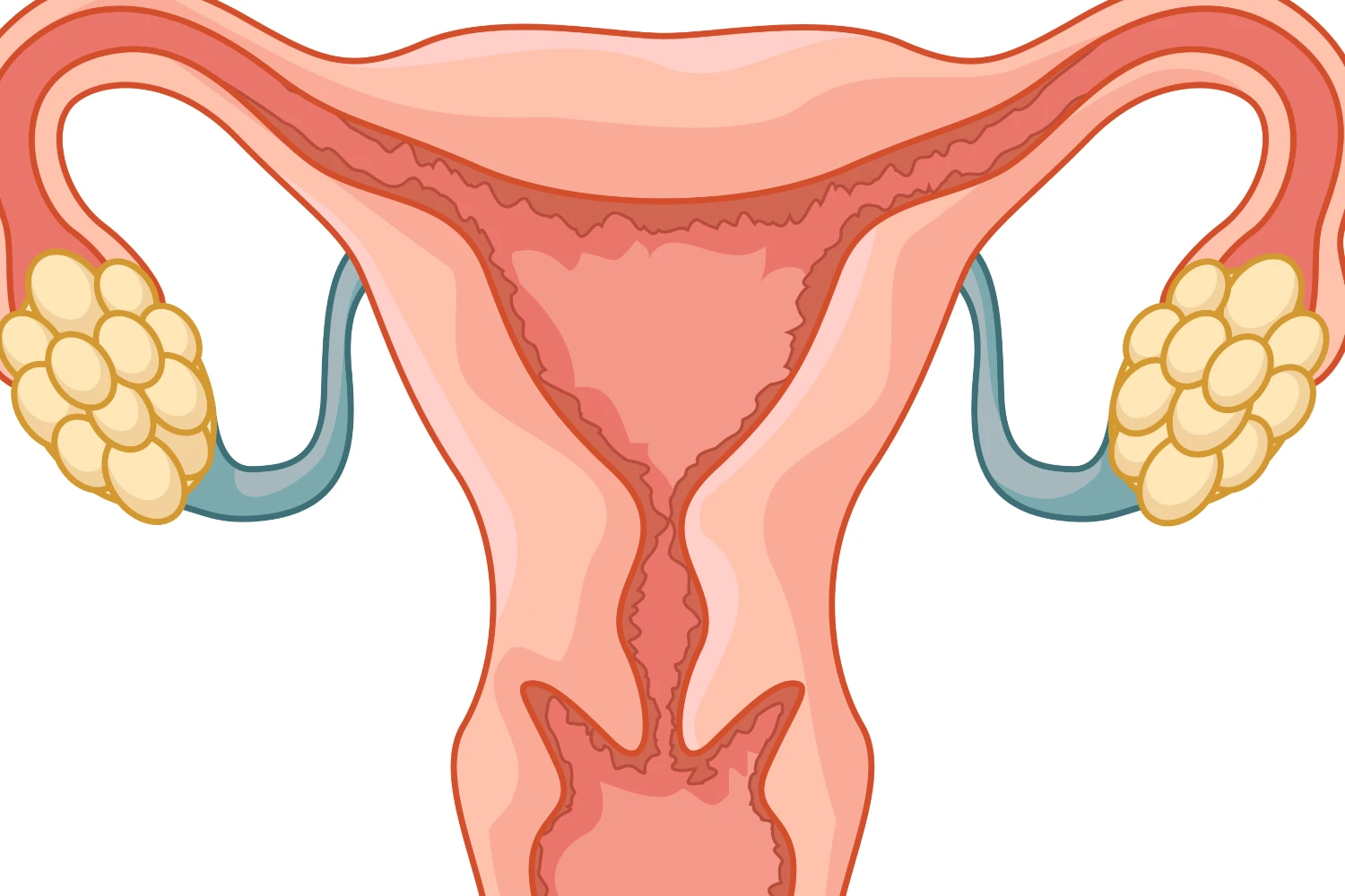 Aspirite ചെയ്തപ്പോൾ egg കിട്ടിയില്ല
