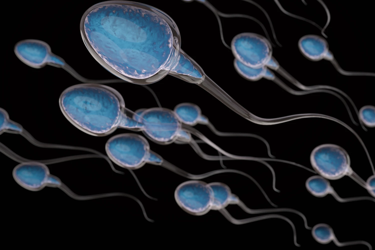 Semen Collecting For Testing